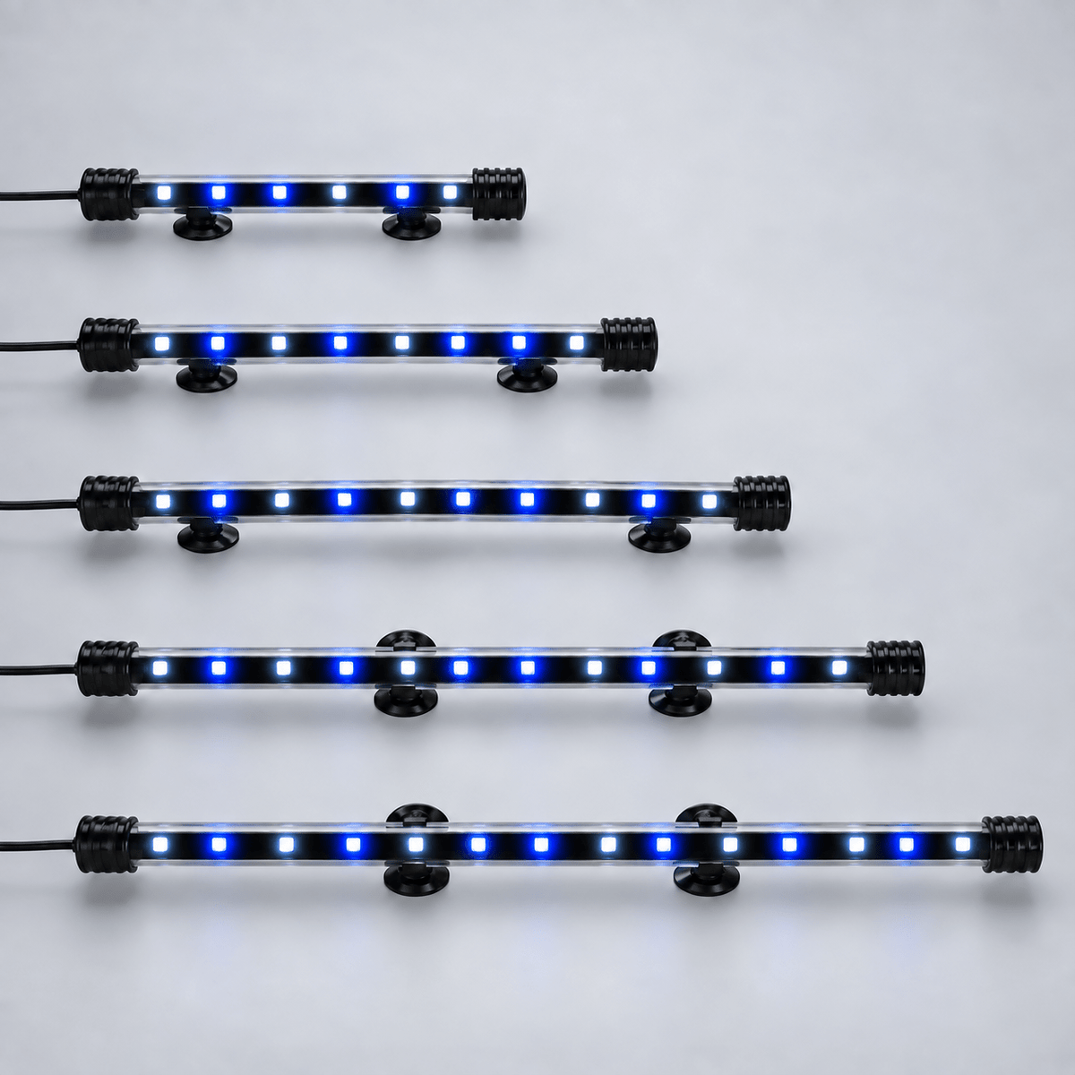Five aquarium light lengths on unmarked studio background